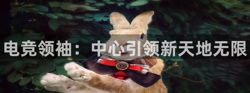一竞技官网：电竞领袖：中心引领新天地无限