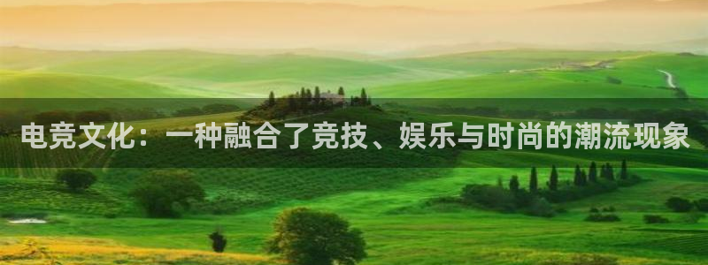 一竞技app官方网站：电竞文化：一种融合了竞技、娱乐与时尚的潮流现象