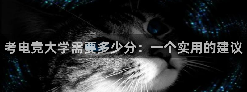 一竞技官网登录入口：考电竞大学需要多少分：一个实用的建议