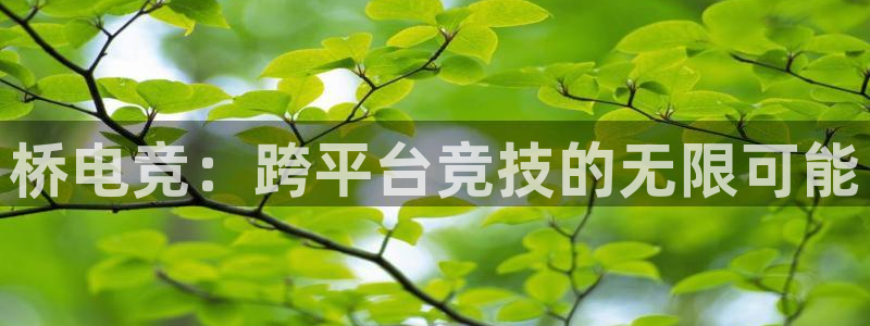 一竞技app官网入口：桥电竞：跨平台竞技的无限可能