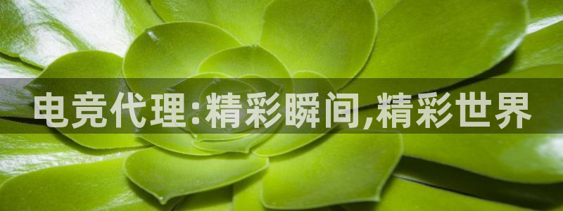 一竞技电竞：电竞代理:精彩瞬间,精彩世界
