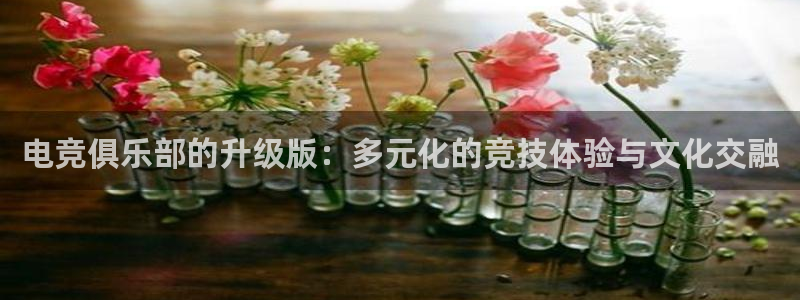 一竞技网页版入口：电竞俱乐部的升级版：多元化的竞技体验与文化交融