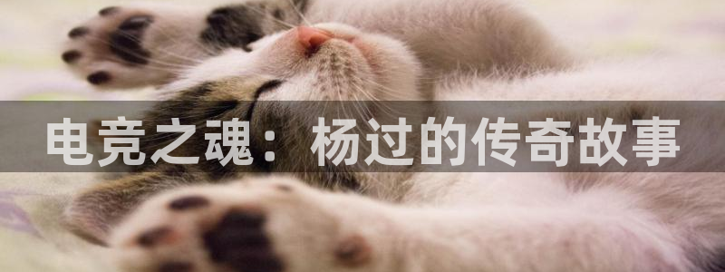 一竞技官网测速入口：电竞之魂：杨过的传奇故事