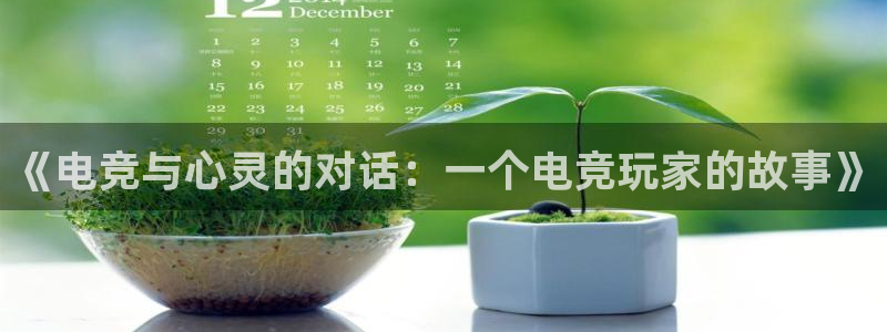 一竞技官网：《电竞与心灵的对话：一个电竞玩家的故事》