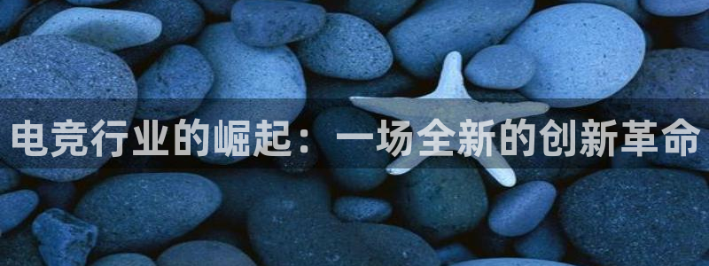 一竞技app下载：电竞行业的崛起：一场全新的创新革命