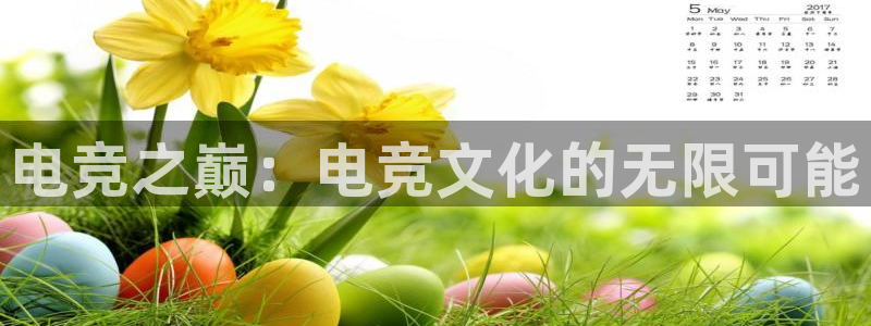 一竞技平台怎么样：电竞之巅：电竞文化的无限可能